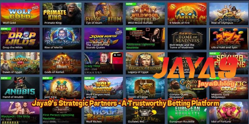 Understanding Live Casino Side Bets A Comprehensive Guide 131154627