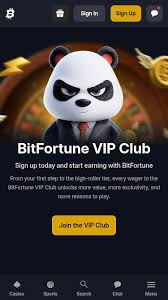 Discover the Unique Bitfortune Swag & Merch Your Ultimate Guide Discover the Unique Bitfortune Swag & Merch Your Ultimate Guide