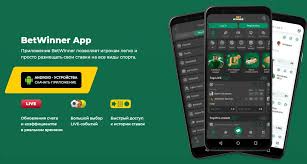 BetWinner Betting Platform Your Ultimate Guide to Online Sports Betting