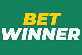 BetWinner Betting Platform Your Ultimate Guide to Online Sports Betting