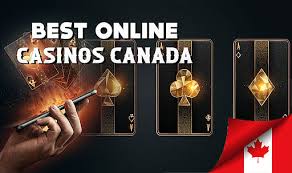 Discover the Best Online Gambling Sites in 2023 Discover the Best Online Gambling Sites in 2023
