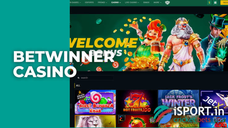 Exploring the Betting World A Comprehensive Guide to BetWinner Platform