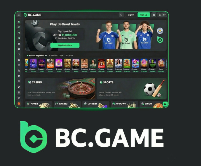 The Ultimate Guide to Hash.Game Mirror for BC.Game